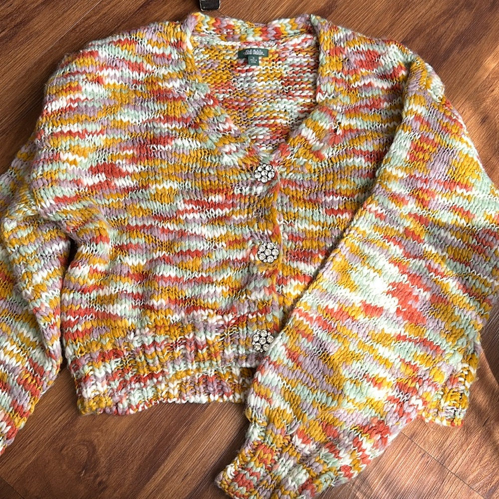 Wild fable sweater.